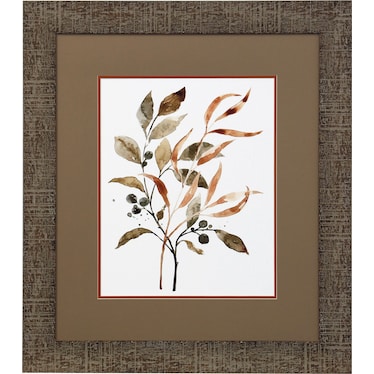 Brown Botanicals II Framed Print 29.5"W x 33.5"H