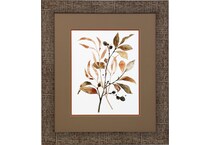 stlc brown prints   
