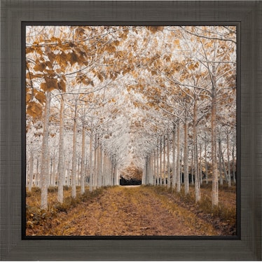 White and Gold Trees Framed Print 49"W x 49"H