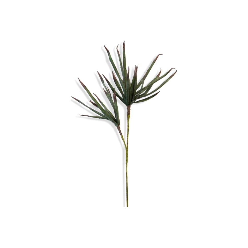 stlc green grasses sticks greens   