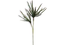 stlc green grasses sticks greens   