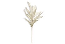 stlc white grasses sticks greens   