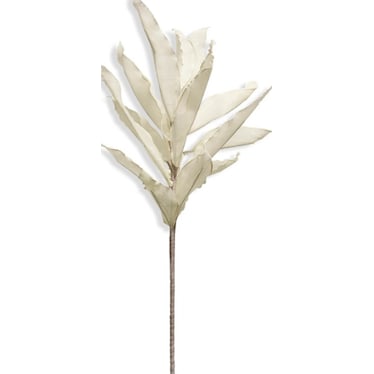 White Foam Ruscus Stem 48"H