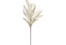 stlc white grasses sticks greens   