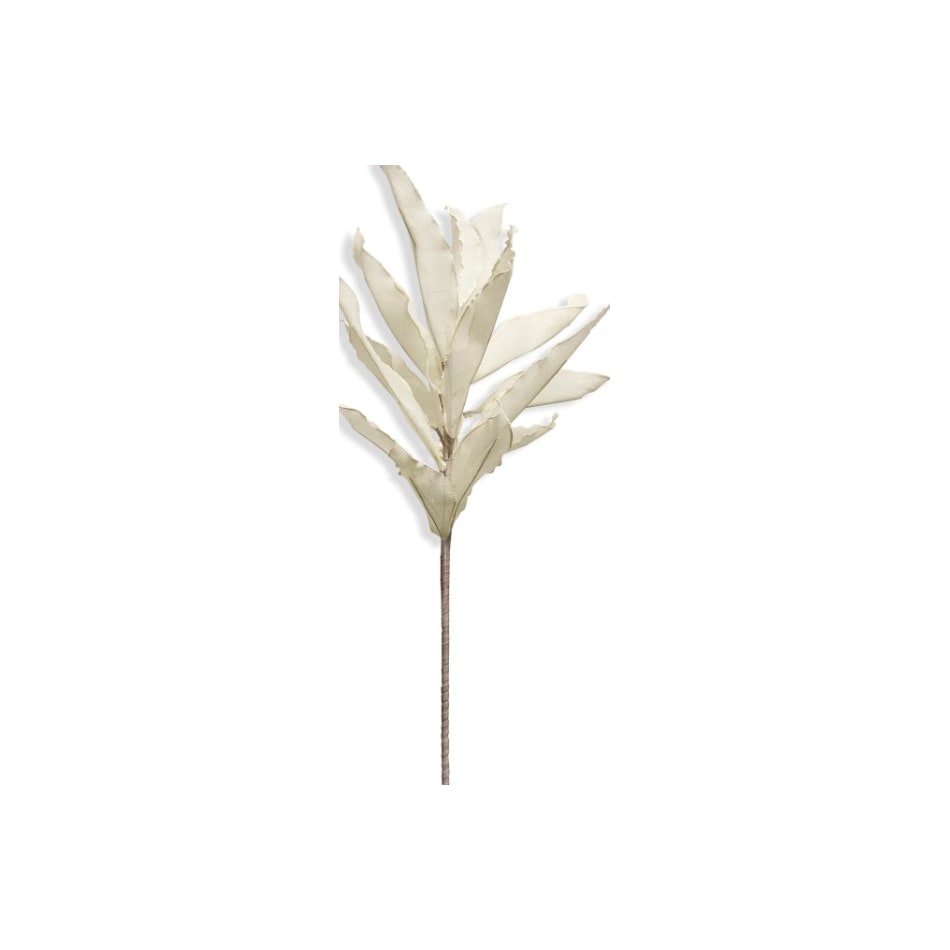 stlc white grasses sticks greens   