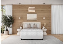 stlf king  room image  