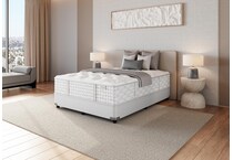 stxf queen  room image  