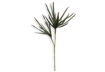 stylecraft lamps green grasses sticks greens   