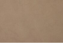 tan swatch  