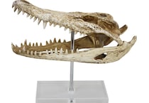 thnd cream figurines   