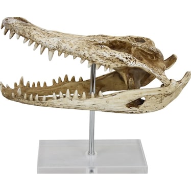 Crocodile Head On Base Sculpture 13"W x 11"H