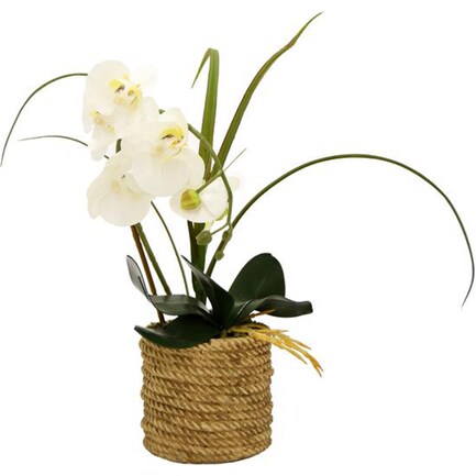 Faux White Orchid Plant In Rope Pot 5"W x 18.5"H