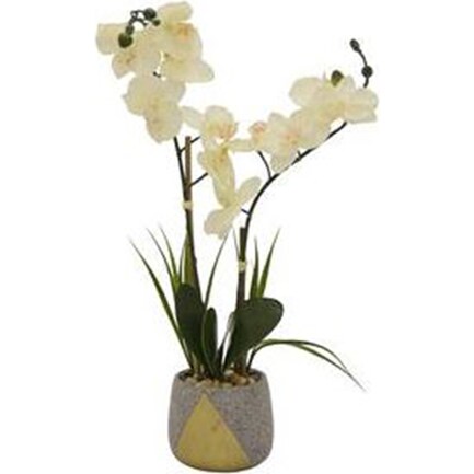 Faux White Orchid Plant In Grey Pot 6"W x 23.5"H
