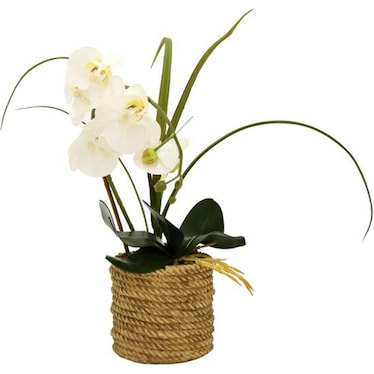 Faux White Orchid Plant In Rope Pot 5"W x 18.5"H