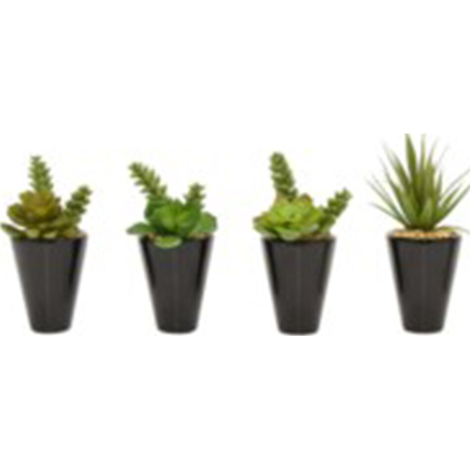 thnd green plants   