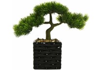 thnd green plants   