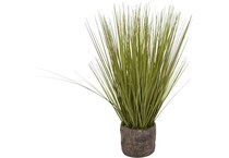 thnd green plants   