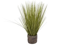 thnd green plants   