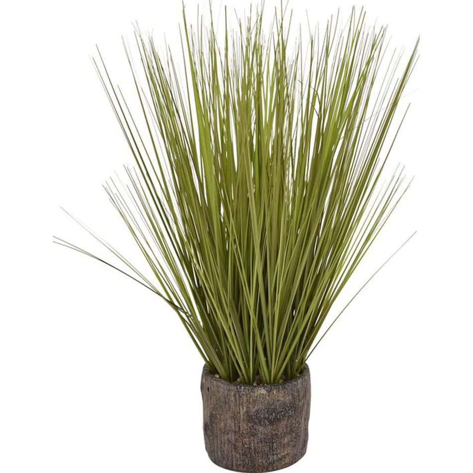 thnd green plants   