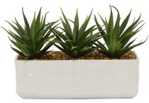 thnd green plants   