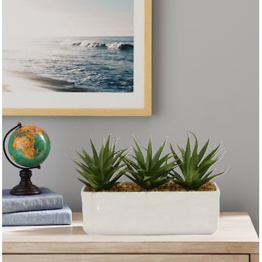 Succulents With Gravel In White Pot 12"W x 7"H