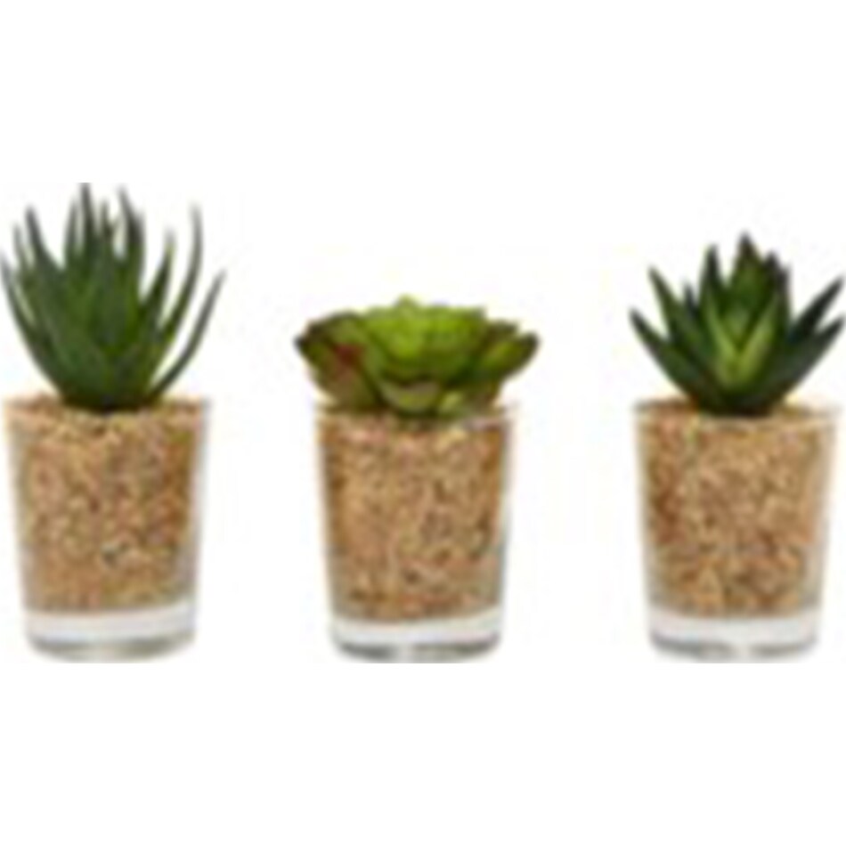 thnd green plants   
