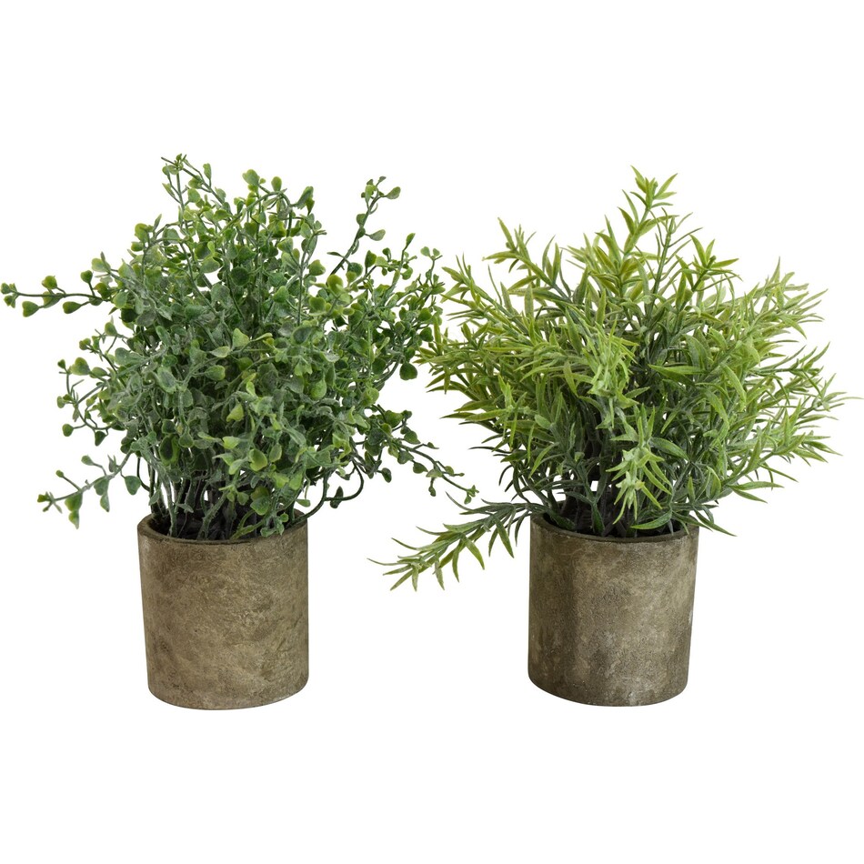 thnd green plants ast  