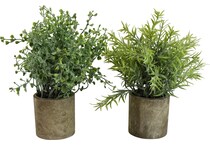thnd green plants ast  