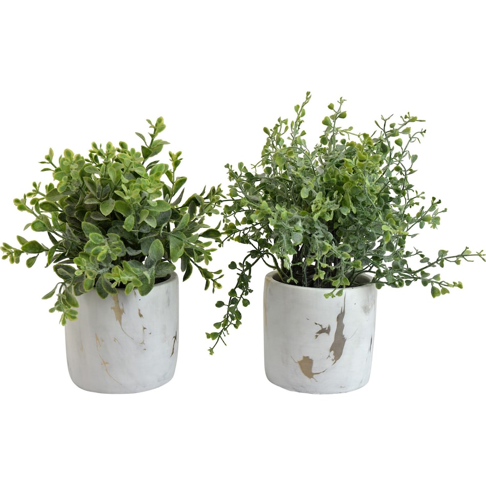 thnd green plants ast  