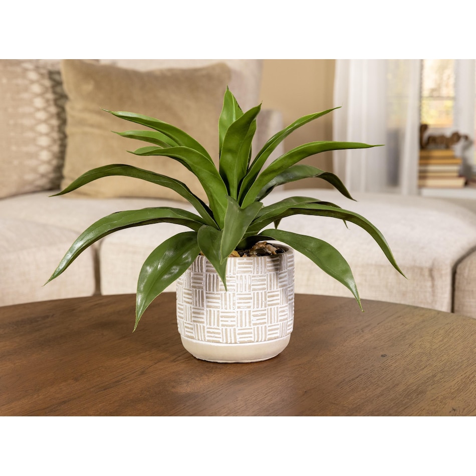 thnd green plants lifestyle image   