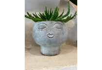 thnd grey jar vase bowl plate   