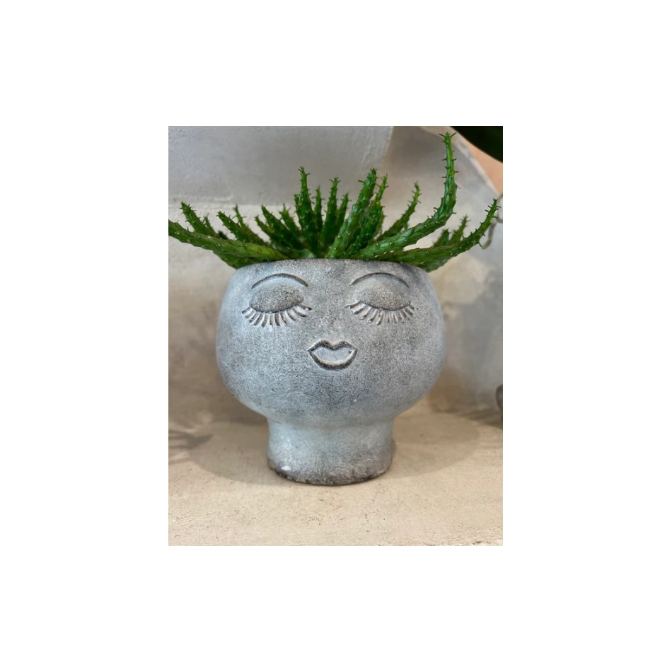 thnd grey jar vase bowl plate   