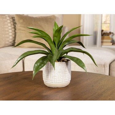 Faux Dracaena Plant In Grey Pot 14"W x 16"H