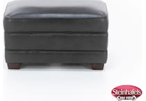 trayton america inc accent  image z  