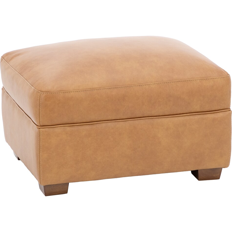 trayton america inc brown accent z  