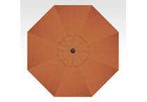 treasure garden orange  foot pkg  