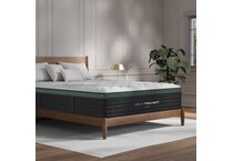 twlxf king  room image  