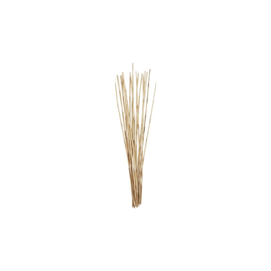 uma enterprises inc beige grasses sticks greens   