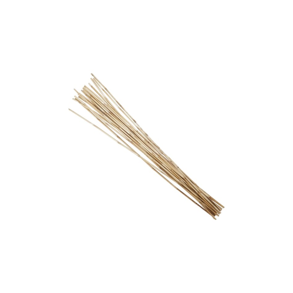 uma enterprises inc beige grasses sticks greens   