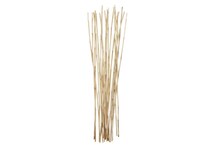 uma enterprises inc beige grasses sticks greens   