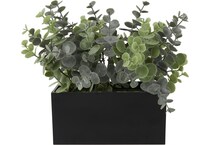 uma enterprises inc green plants   