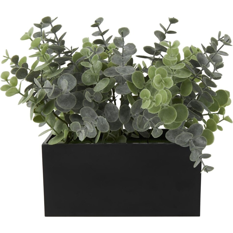 uma enterprises inc green plants   