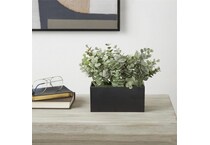 uma enterprises inc green plants   