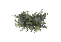 uma enterprises inc green plants   