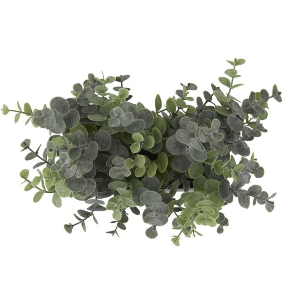 uma enterprises inc green plants   