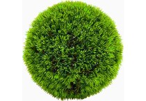 uma enterprises inc green plants   