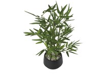 uma enterprises inc green plants   