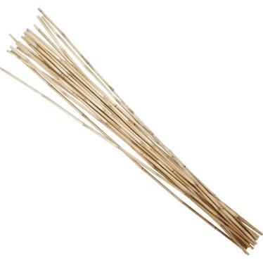 Natural Bamboo Sticks Bundle 7"W x 41"H
