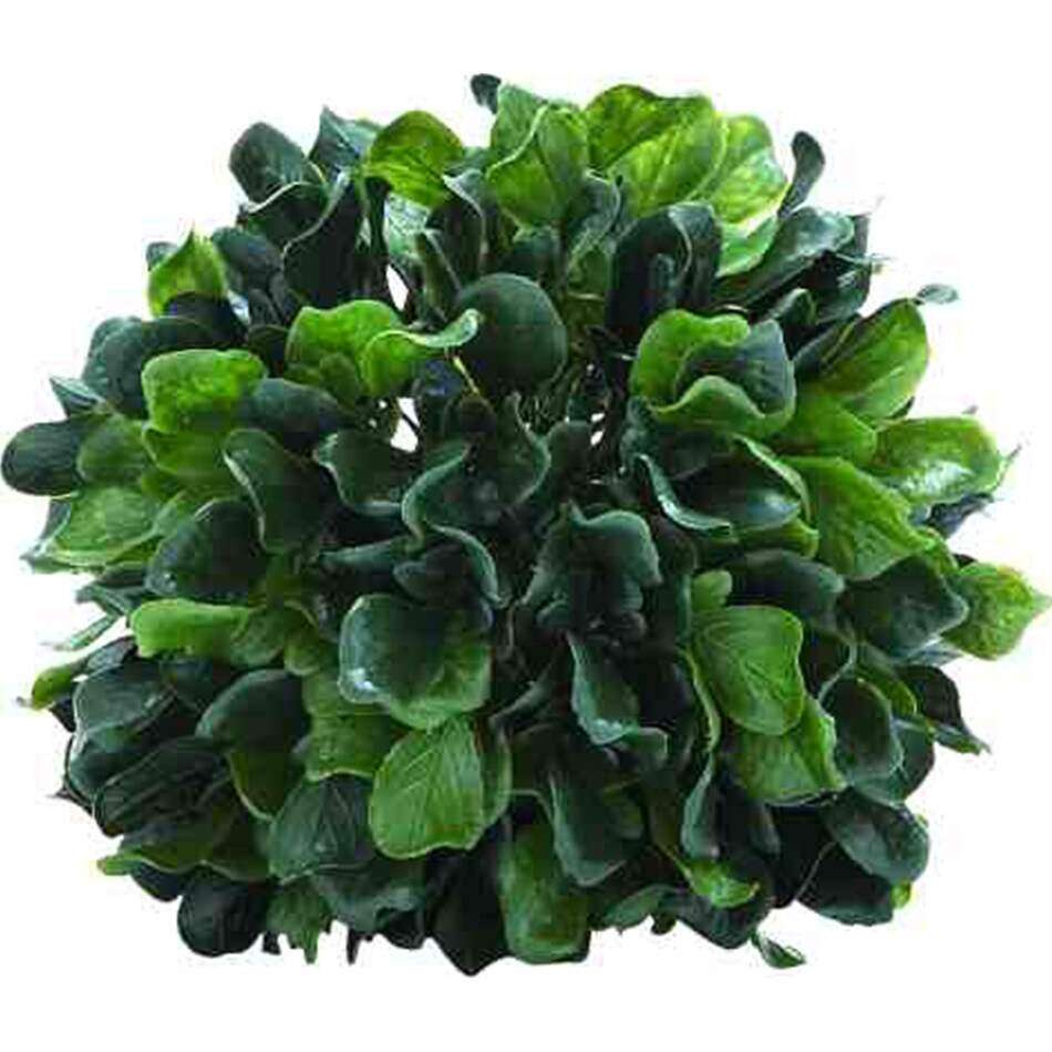 umai green grasses sticks greens   