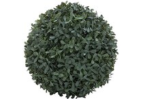 umai green plants   
